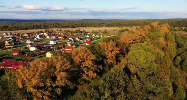 Ленинградская область, Лопухинское сельское поселение