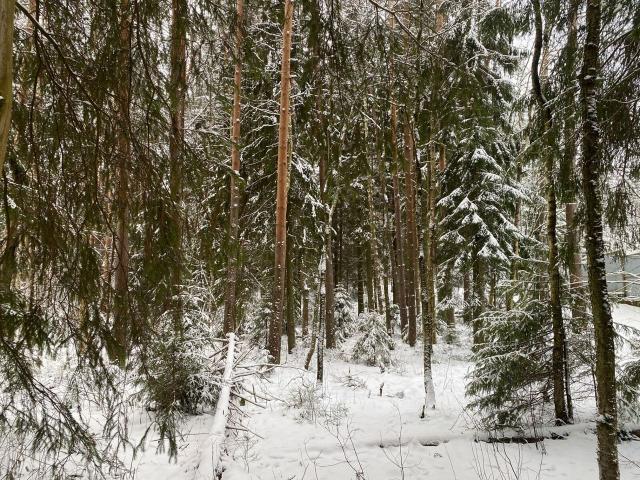 Ленинградская область, Токсово пос., Кольцевая ул., 6
