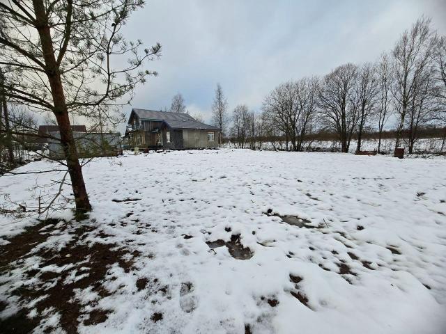 Ленинградская область, Пениковское сельское поселение, Дружный КП, 12