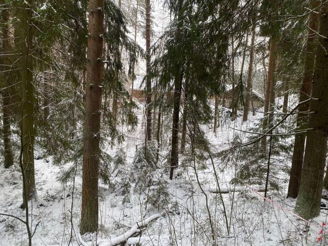 Ленинградская область, Токсово пос., Кольцевая ул., 6Б