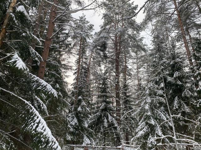 Ленинградская область, Токсово пос., Кольцевая ул., 6Б
