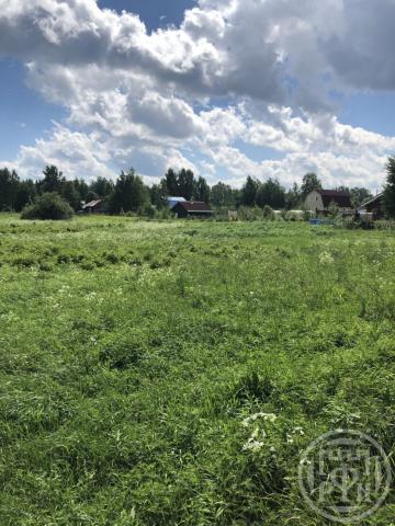 Луговое пос.