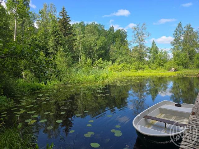 Синево пос.