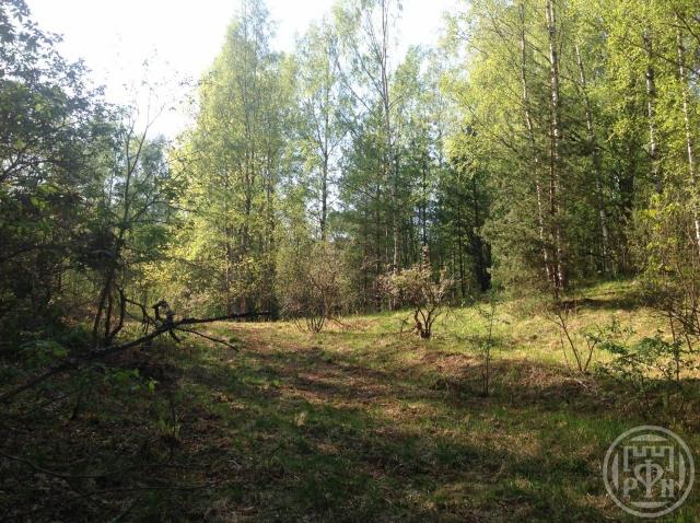 Матокса массив, Матокса снт