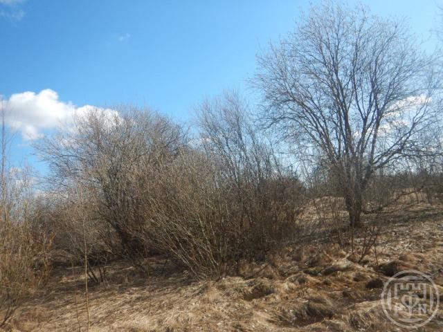 Красное Село г., Красногородская ул., д 30