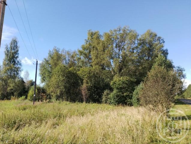 Затрубичье дер.