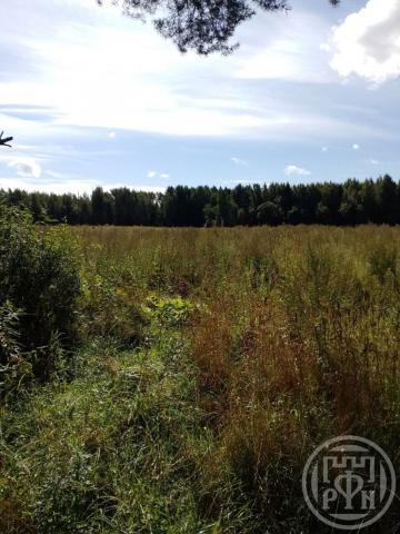 Заклинье (Волошовское) дер., д 10