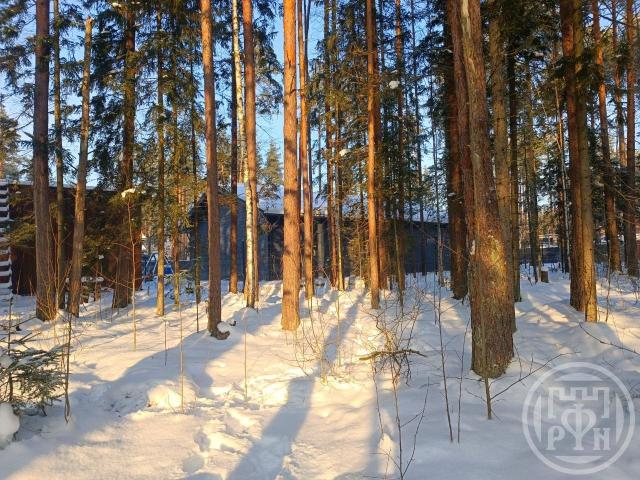 Дворянская усадьба КП