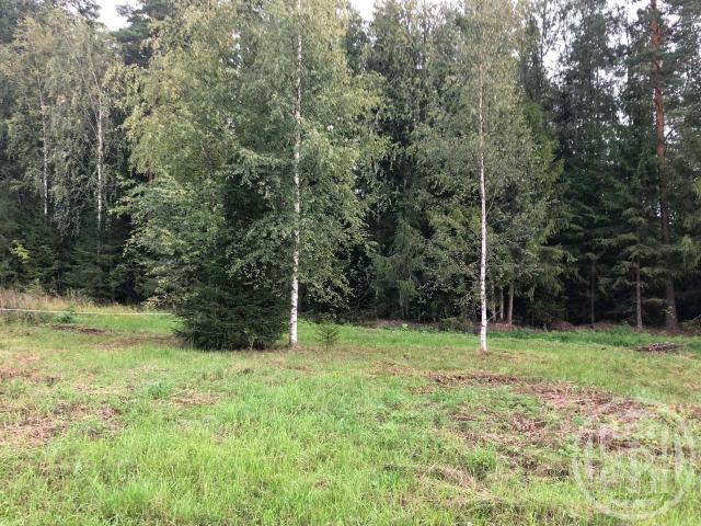 Верховский ДНТ пос.