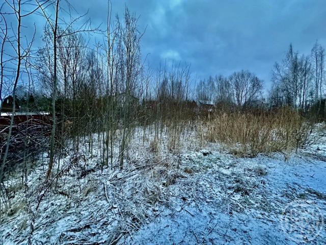 Всеволожск г., Липовая ул.