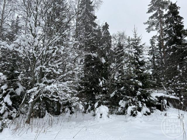 Огоньки пос.