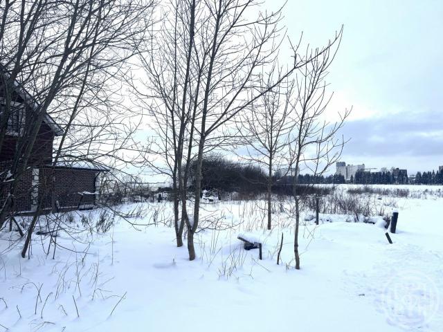 Малые Колпаны дер., Центральная ул.