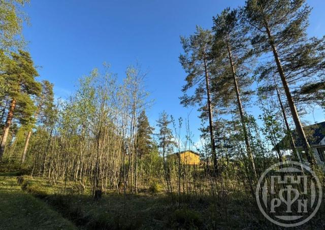 Приветнинское пос.