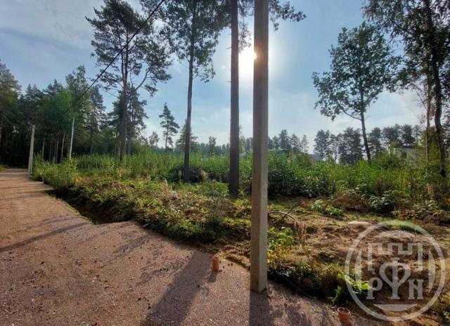 Приветнинское пос.