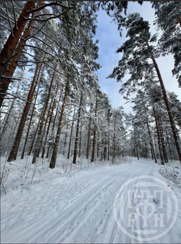 Приветнинское пос.
