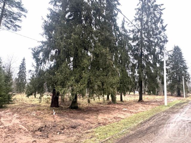 Сиверский пгт., Оредежский пер.