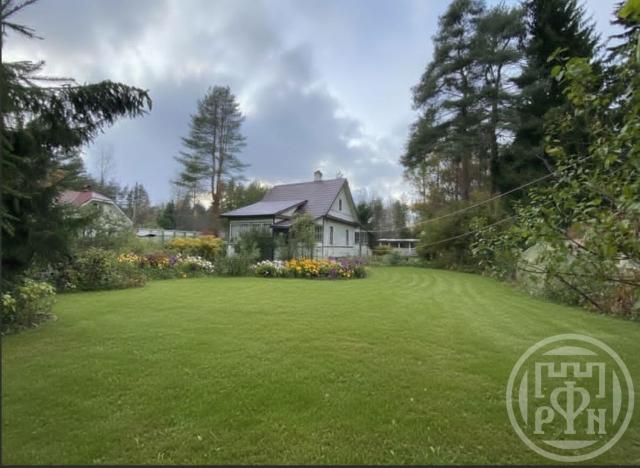 Белоостров массив, Лесное днт