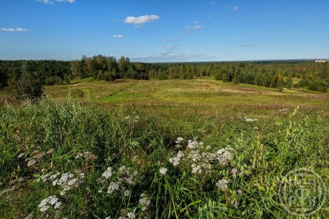 Токкари дер.