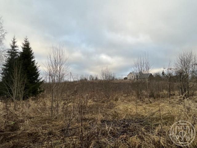 Владычно дер.