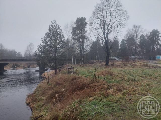 Вырица пос., Румянцева ул.