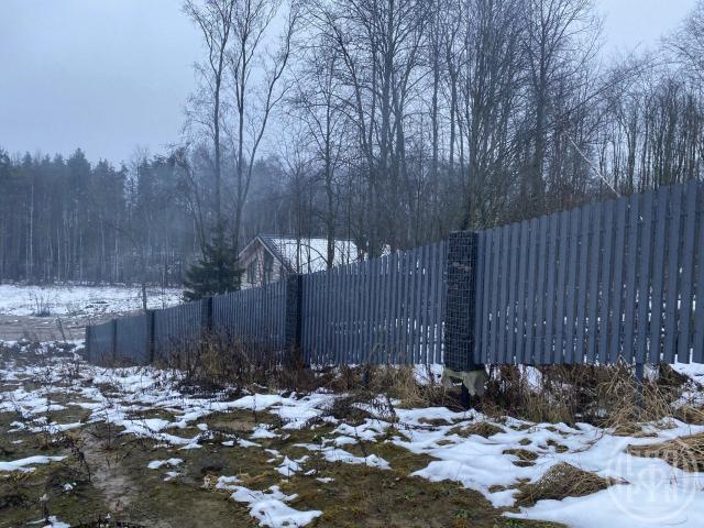 Новое Токсово пос.