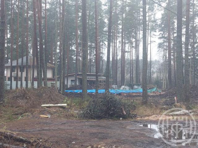 Вырица пос., Куйбышева ул.