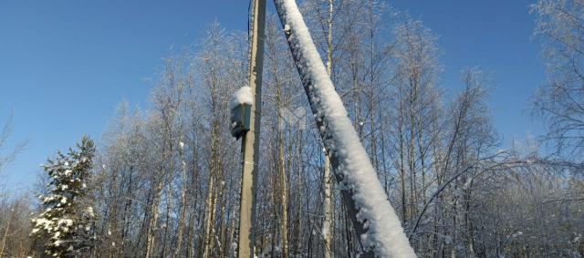 Ладожское СНТ