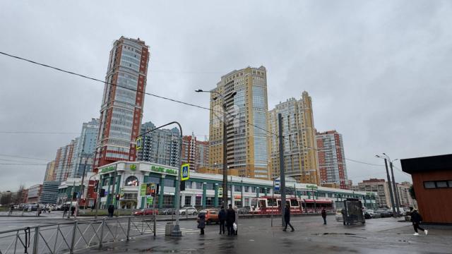 Кустодиева ул., 7к1