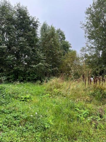 Ленинградская область, Левада КП, 1-й проезд