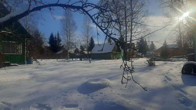 Ленинградская область, Грибное массив, Ленгидропроект СНТ, 71