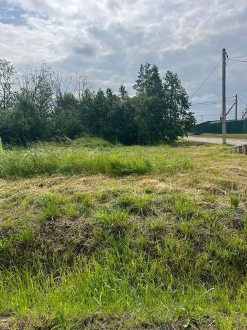 Ленинградская область, Колтушское городское поселение, ПриЛЕСный 2.0 КП