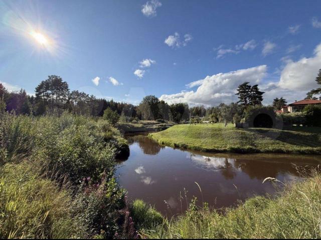 Ленинградская область, Репинские дачи КП