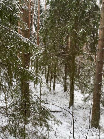 Ленинградская область, Токсово пос., Кольцевая ул., 6