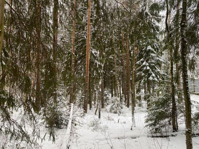 Ленинградская область, Токсово пос., Кольцевая ул., 6