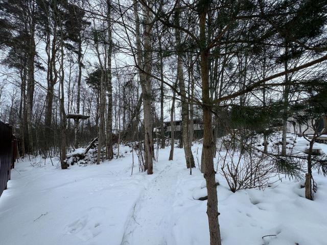 Ленинградская область, Лебяжье пос., Красногорская ул.