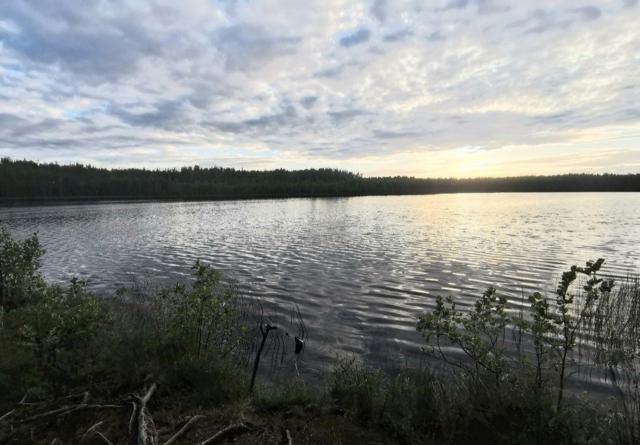 Ленинградская область, Красный Сокол дер.