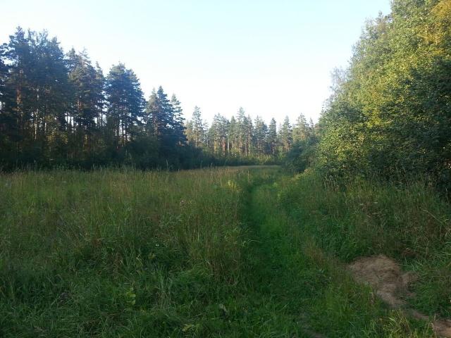 Ленинградская область, Плодовское сельское поселение