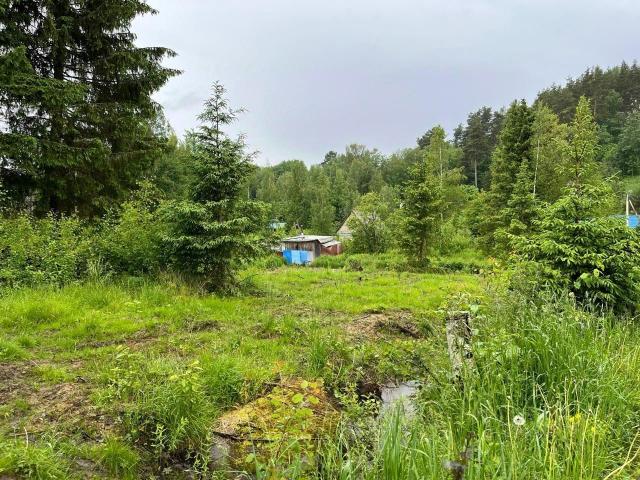 Ленинградская область, Новожилово массив