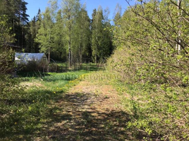 п. ж/д ст.. Каннельярви