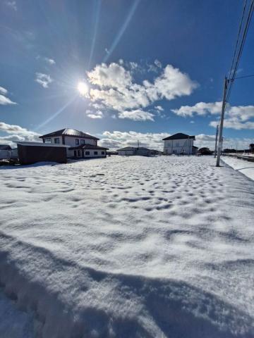 Ленинградская область, Любимово КП