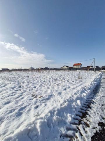 Ленинградская область, Аннолово дер., Алтайская ул., 12