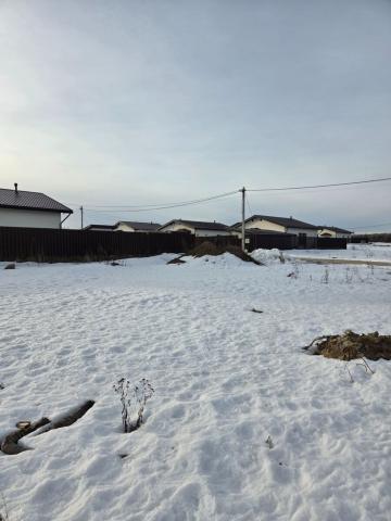 Ленинградская область, Низинское сельское поселение