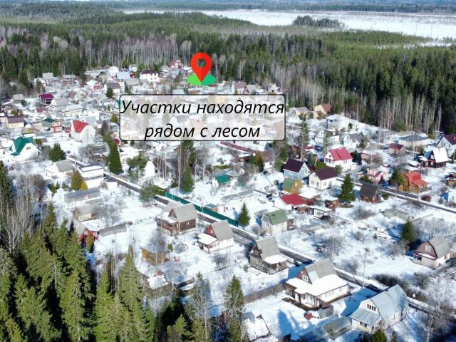 Ленинградская область, Лебедевка дер.