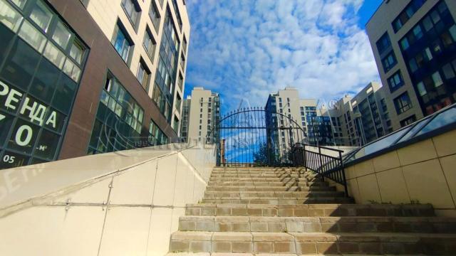 ш. Петергофское, 59