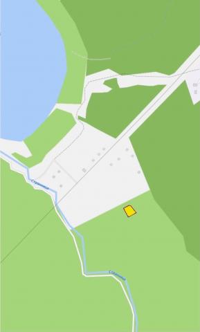 Ленинградская область, Светлое дер.