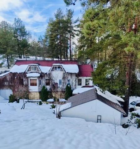 Ленинградская область, Пирит-1 СНТ