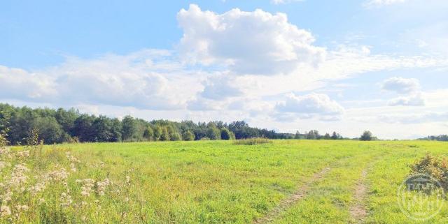 Порожки-Петровское КП