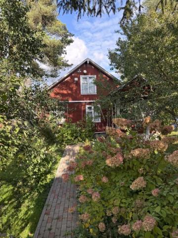 тер. Снт Дружное-3