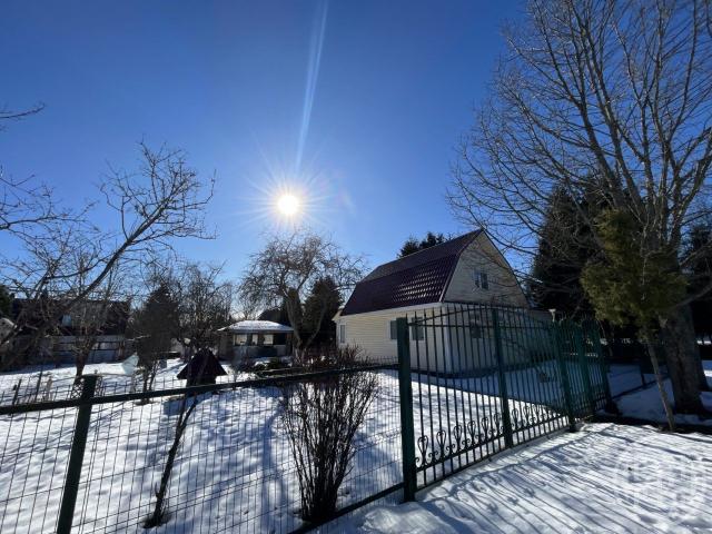 Мшинская массив, Заря снт