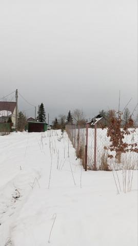 Ленинградская область, Петрово дер.